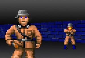 play Wolfenflash 3D