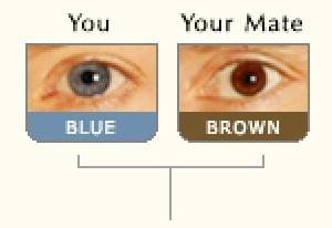 play What Color Eyes...
