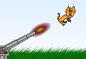 play Kitten Cannon