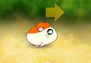 play Hamster