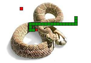play Serpiente