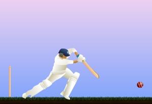 play Cricket Game