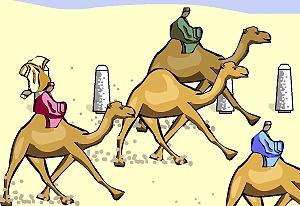 play Camel