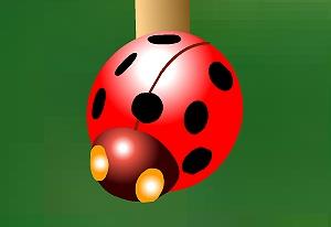 play Amida