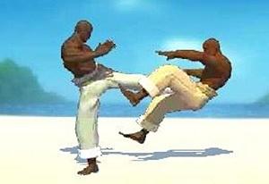 play Capoeira Fighter