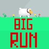 play Big Run