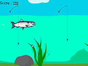 play Salmon Survival Game