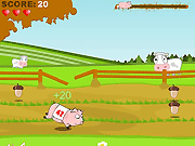 play Pig Race Game