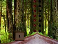 play Eco Forest Escape