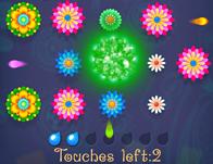 play Flower Boom