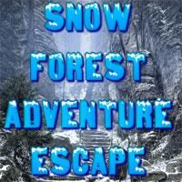 play Snow Forest Adventure Escape