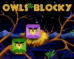 play Owls Blocky