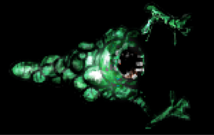 play Ghost Killer