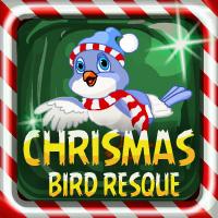 play Christmas Bird Rescue Escape