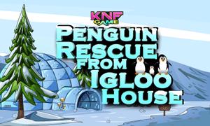 play Penguin Rescue From Igloo House