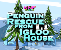 play Penguin Rescue From Igloo House