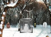 play Snow Bear Forest Rescue Escape