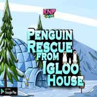 play Penguin Rescue From Igloo House