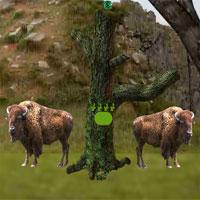 play Buffalo Mountain Escape