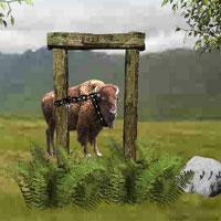 play Buffalo-Mountain-Escape-Escapegameszone