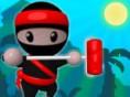 play Ninja Painter