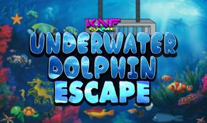 play Underwater Dolphin Escape