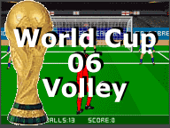 World Cup Volley