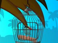 play Cuckoo Bird Rescue