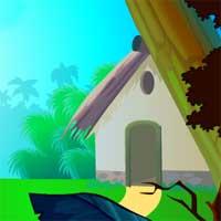 play Cuckoo Bird Rescue