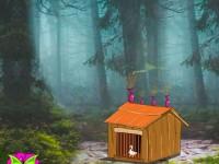 play Zooo Duck Escape