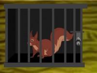 play Squirrel Cage Escape