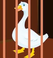 play Zooo Duck Escape