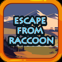 play Escape From Raccoon