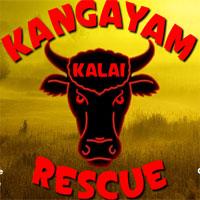 play Kangayam Kalai Rescue Escape
