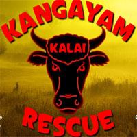 play Kangayam Kalai Rescue