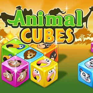 play Animal Cubes