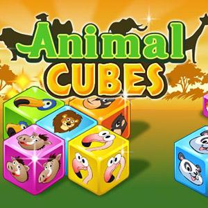 play Animal Cubes