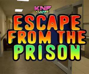 play Escape From The Prison