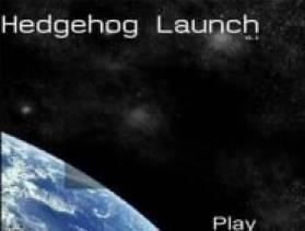 play Hedgehog Launch - Free Game At Playpink.Com