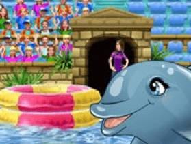 play My Dolphin Show 6 - Free Game At Playpink.Com