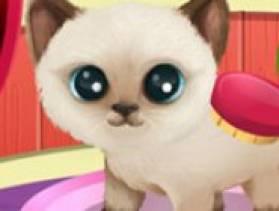 play Paws To Beauty: Puppies And Kittens - Free Game At Playpink.Com