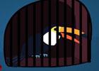 play Toucan Escape