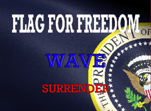 play Flag For Freedom