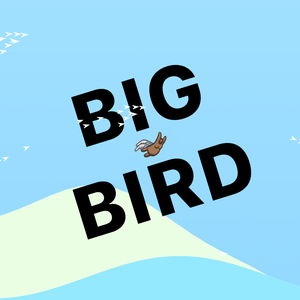 play Big Bird