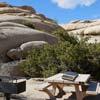 play Desert Tourist Escape