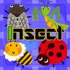 Insect Concentration (Game)