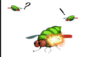 play Whack A Fly