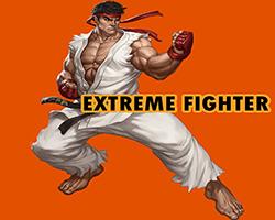 play Extreme Fighter