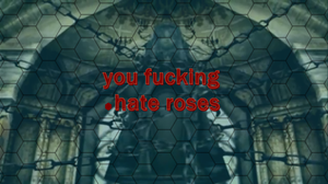 You Fucking Hate Roses