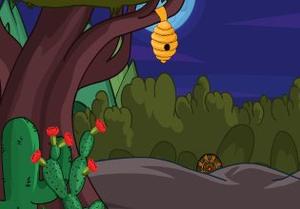 play Forest Bear Escape